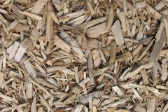 biomass boilers Ospisdale